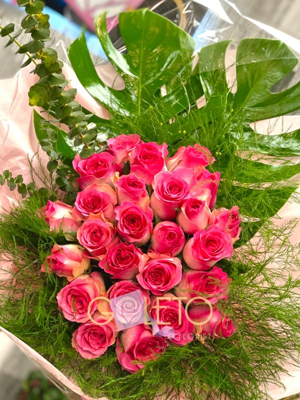 Pink Roses