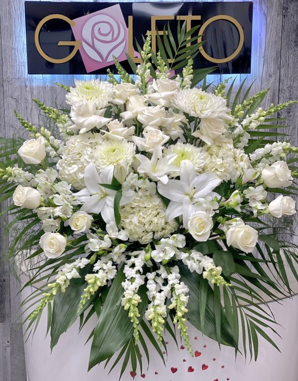 Sympathy 19
